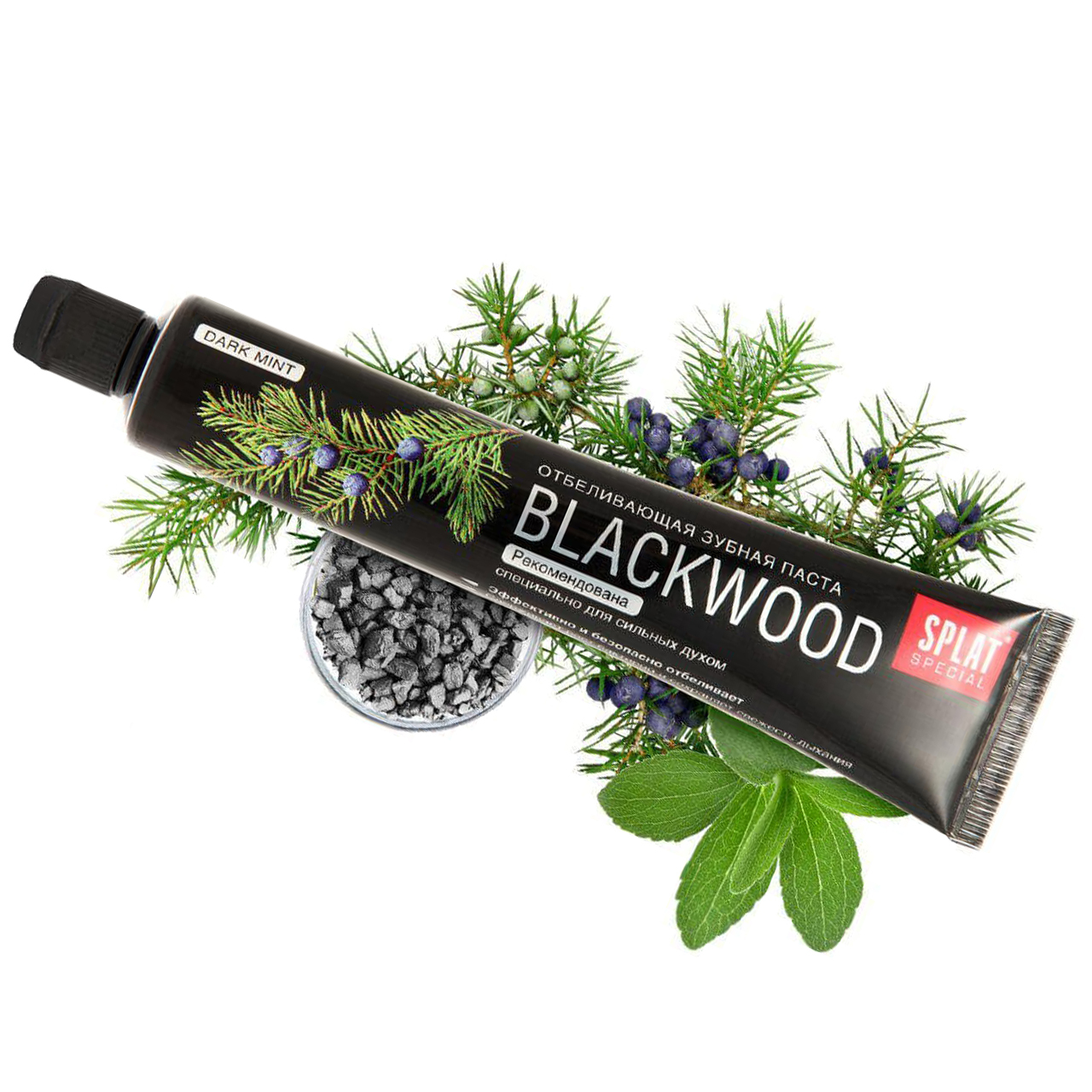 Black Toothpaste with birch carbon&nbsp;